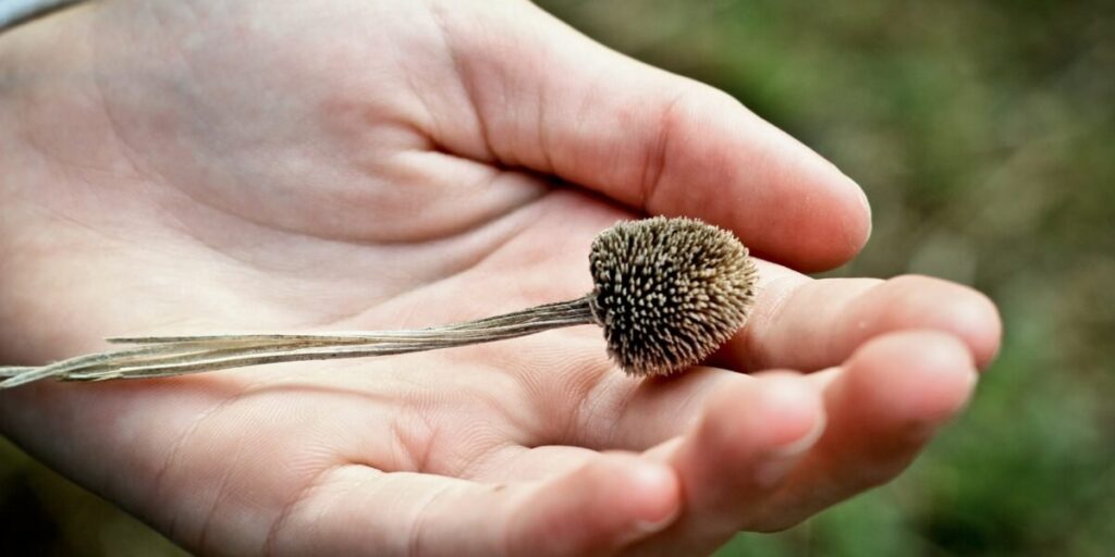 aham1 1200x600 aham1 1200x600